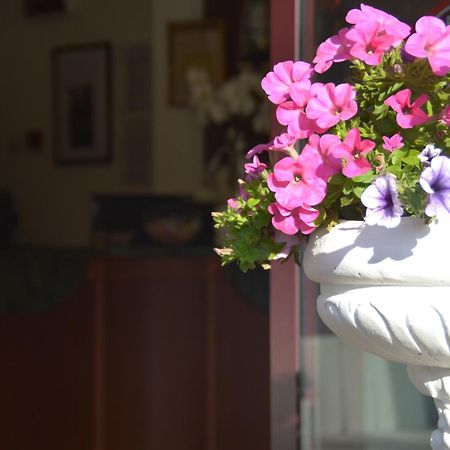 Hotel Bel Sogno Ρίμινι Εξωτερικό φωτογραφία