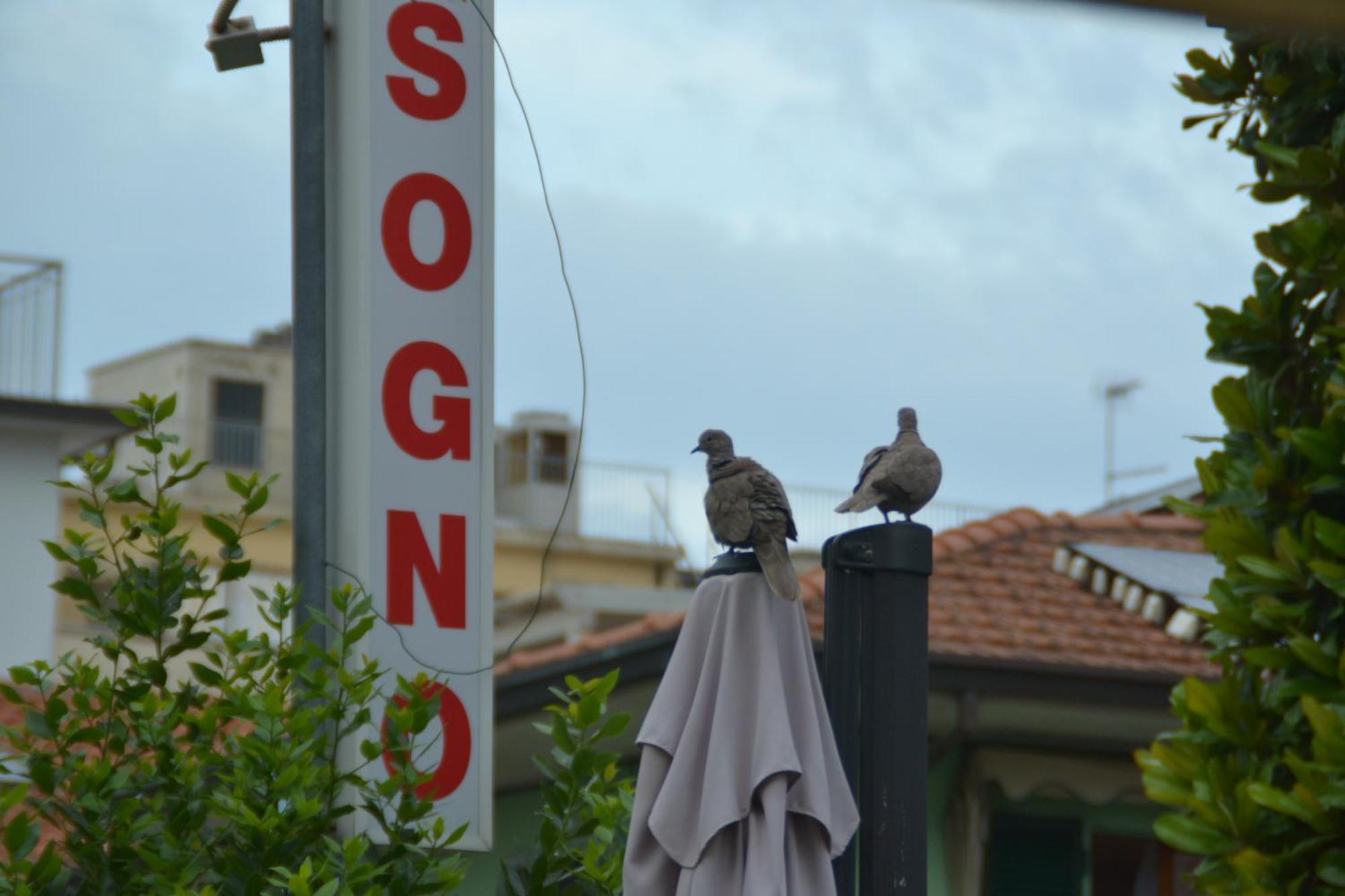 Hotel Bel Sogno Ρίμινι Εξωτερικό φωτογραφία